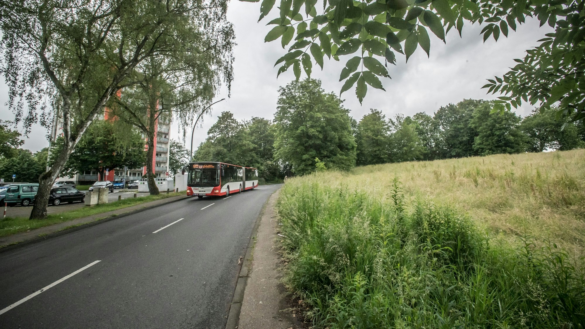 Auf dem Feld Bohofsweg Ecke An der Wasserkuhl will die Stadtverwaltung jetzt eine Kindertagesstätte bauen. Foto: Ralf Krieger