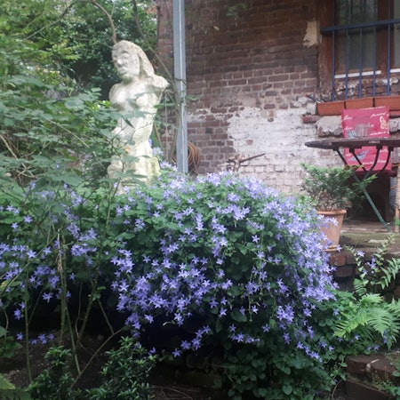 Künstler Günter LImburg hegt und pflegt seinen Garten im Innenhof hinter seinem Atelier