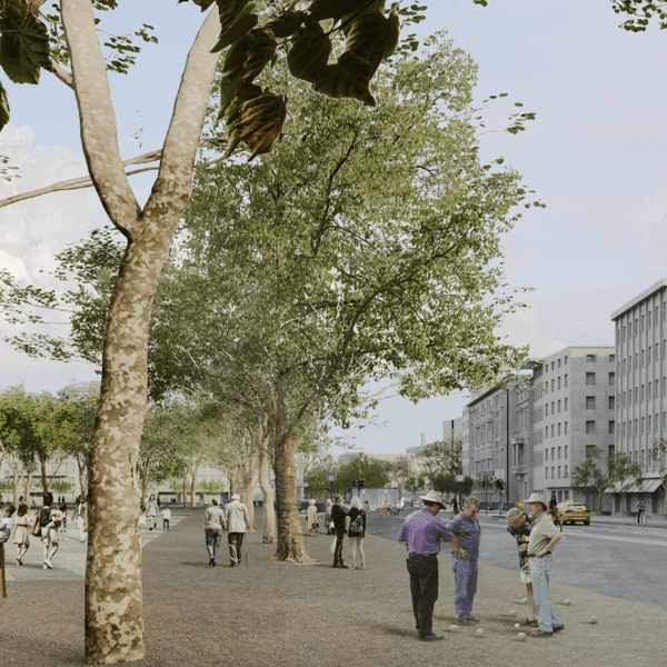 Der Neumarkt ohne Stadtbahn-Gleise
