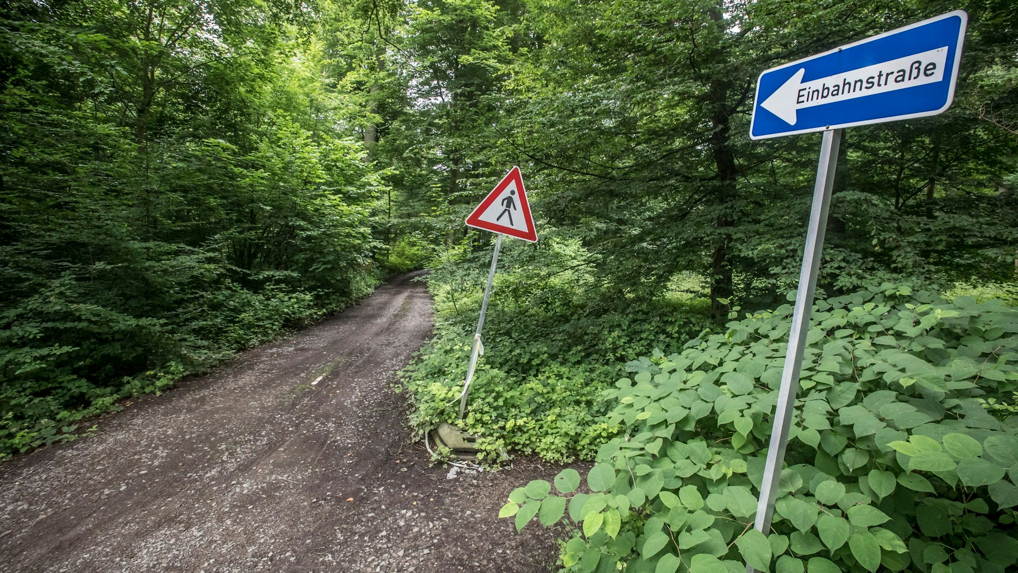 Die temporär eingerichtete Baustraße zwischen dem Klinikum und der Gustav-Heinemann-Straße.