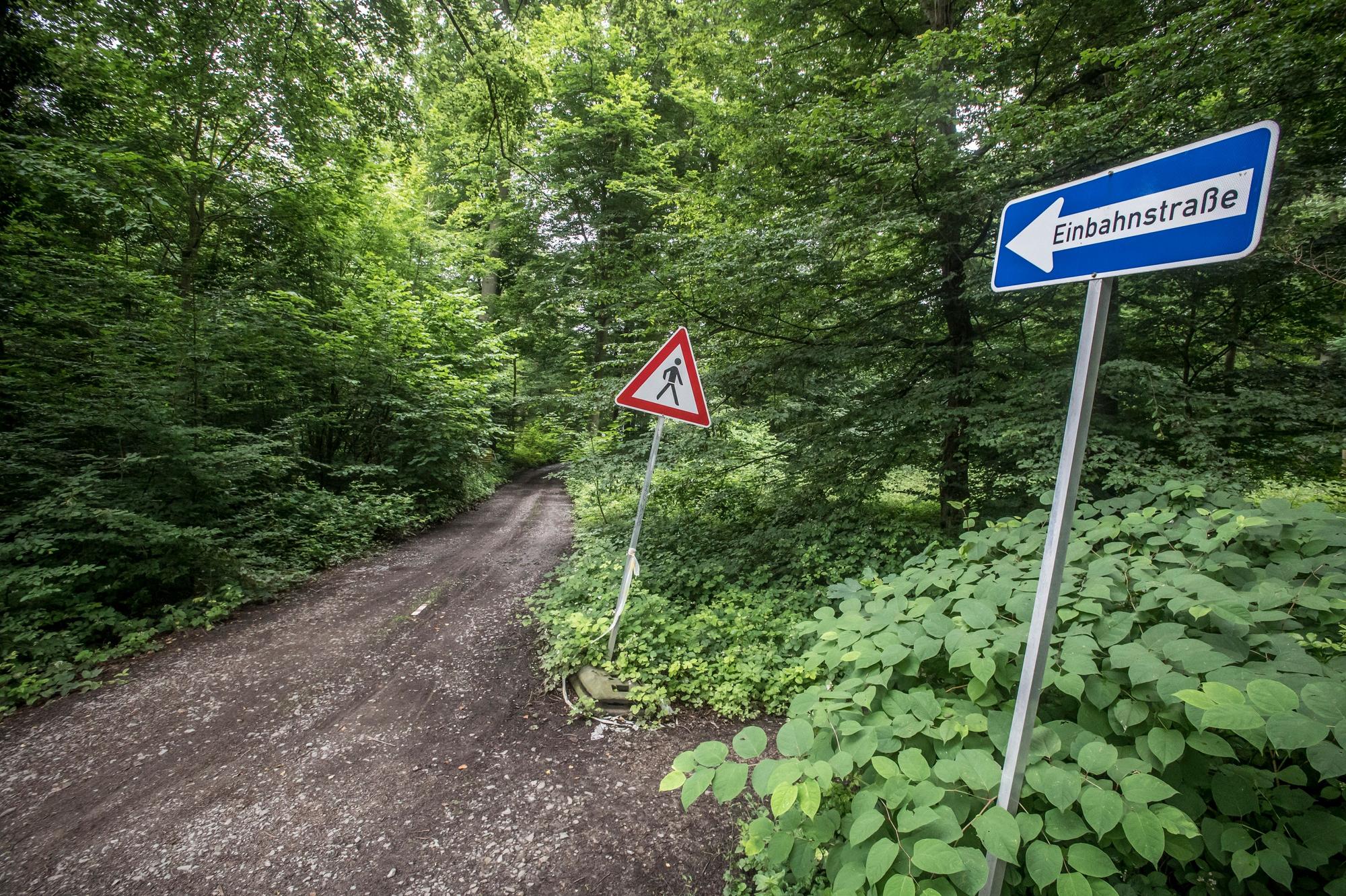 Die temporär eingerichtete Baustraße zwischen dem Klinikum und der Gustav-Heinemann-Straße.