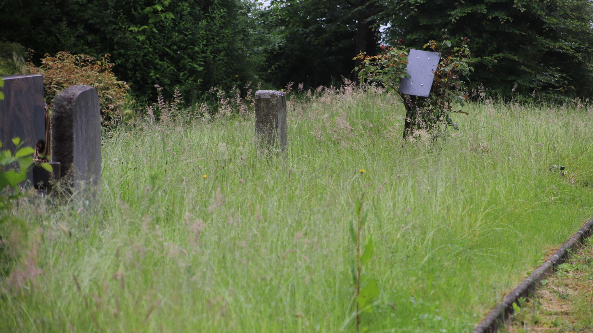 Gras wuchert vor den Grabsteinen.