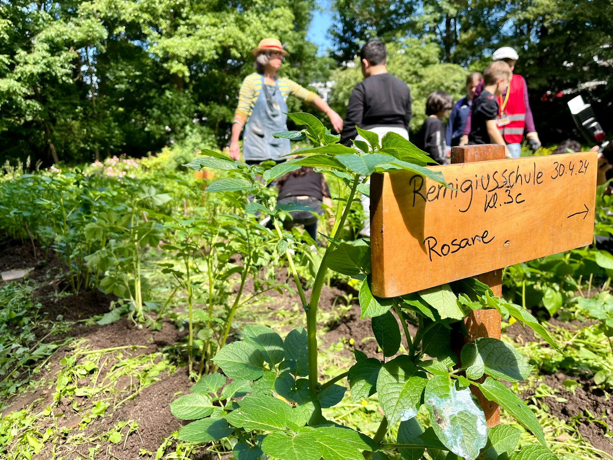 Das Naturgut Ophoven