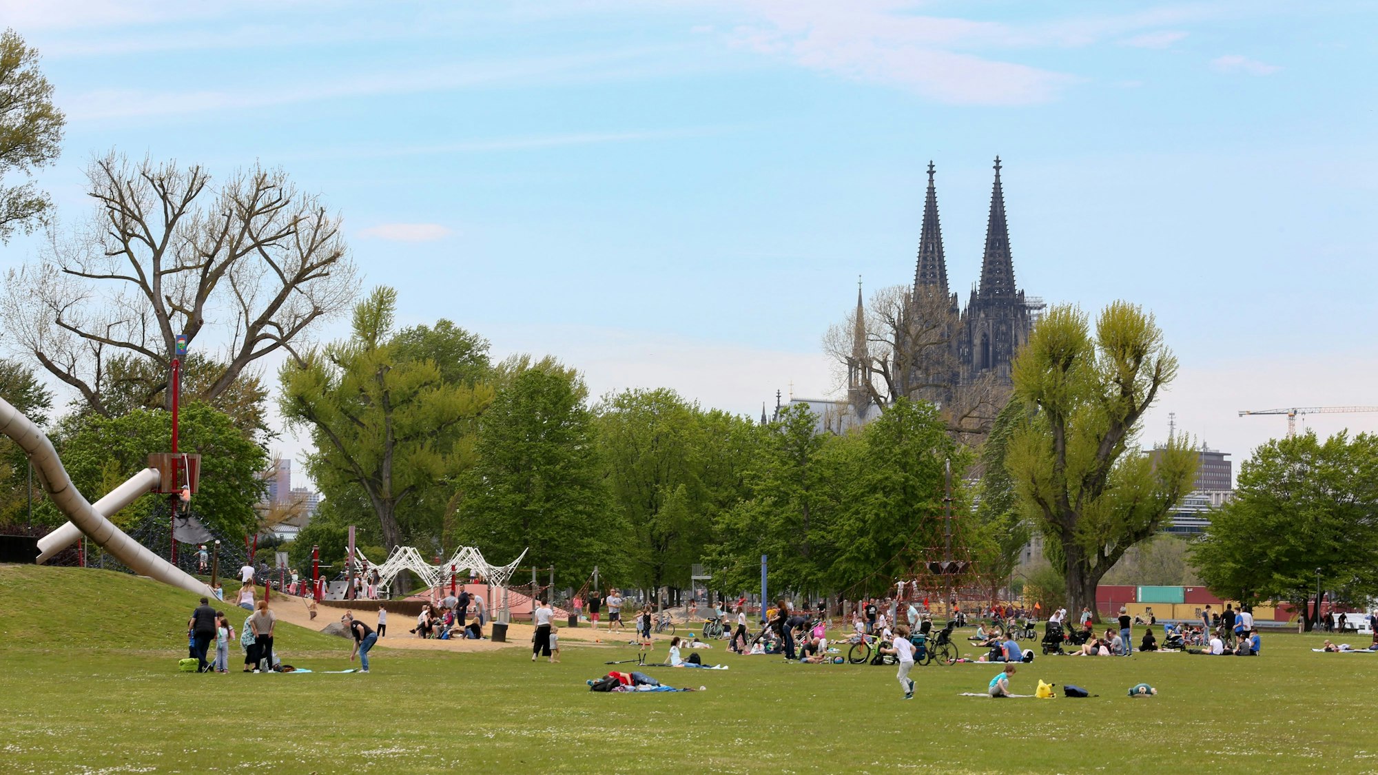 Im Rheinpark in Köln sitzen viele Menschen auf der Wiese neben dem Spielplatz.