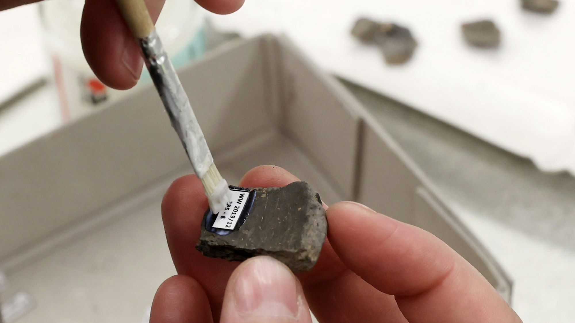 In den Abbaugebieten der Braunkohle-Tagebaue liegen noch zahlreiche archäologische Artefakte im Boden. Archäologen des LVR versuchen, die Überbleibsel zu retten.