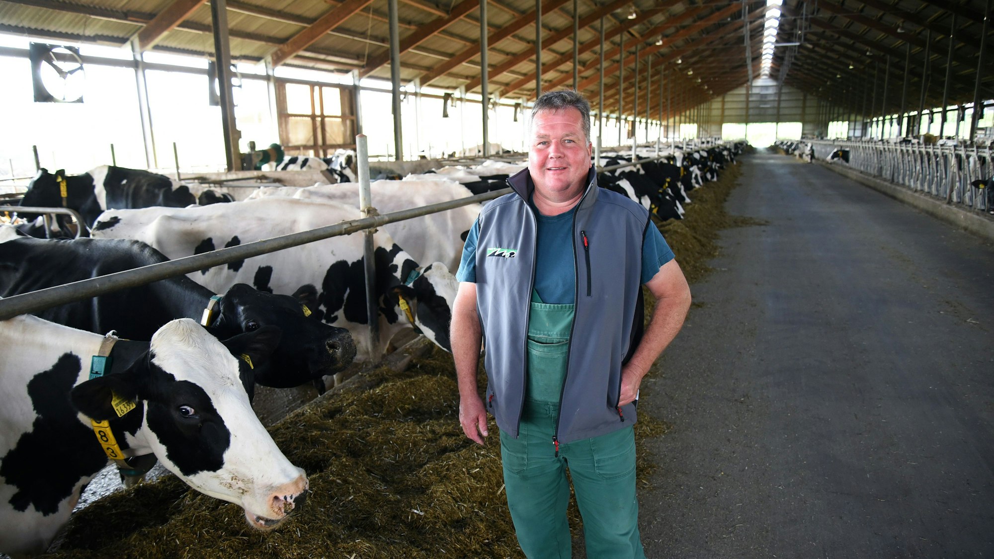 Das Foto zeigt Landwirt Heinz Raffelsieper im riesigen Kuhstall der Wegerhof KG.