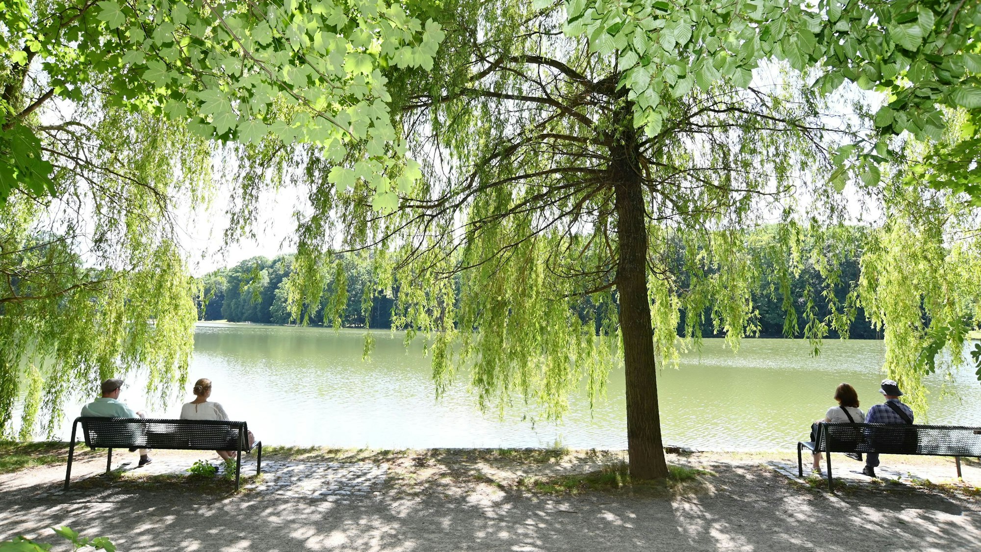 Passanten sitzen auf der Bank im Schatten am Adenauer Weiher.