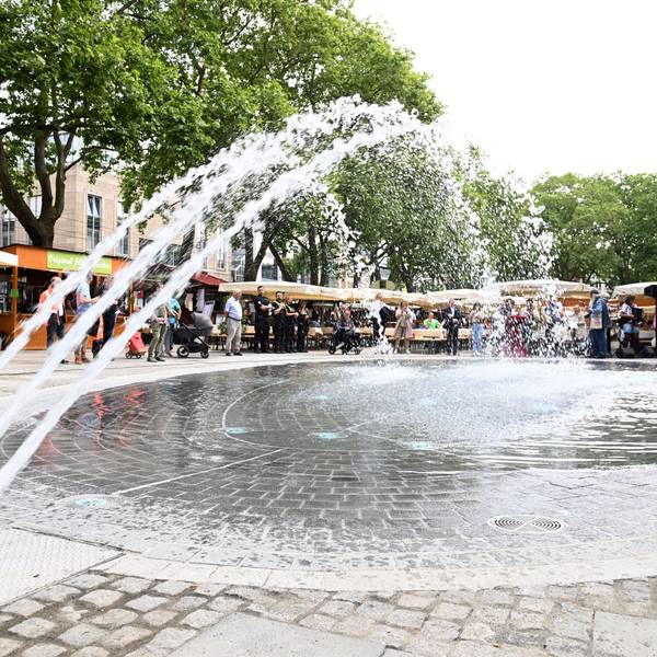 Der sprudelnde Brunnen auf dem Neumarkt