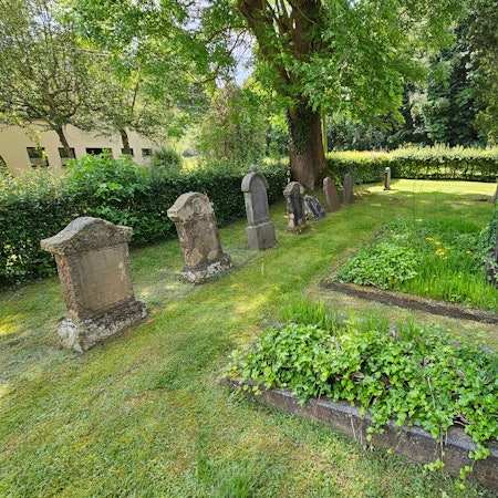 Blick auf einige Gräber des jüdischen Friedhofs.