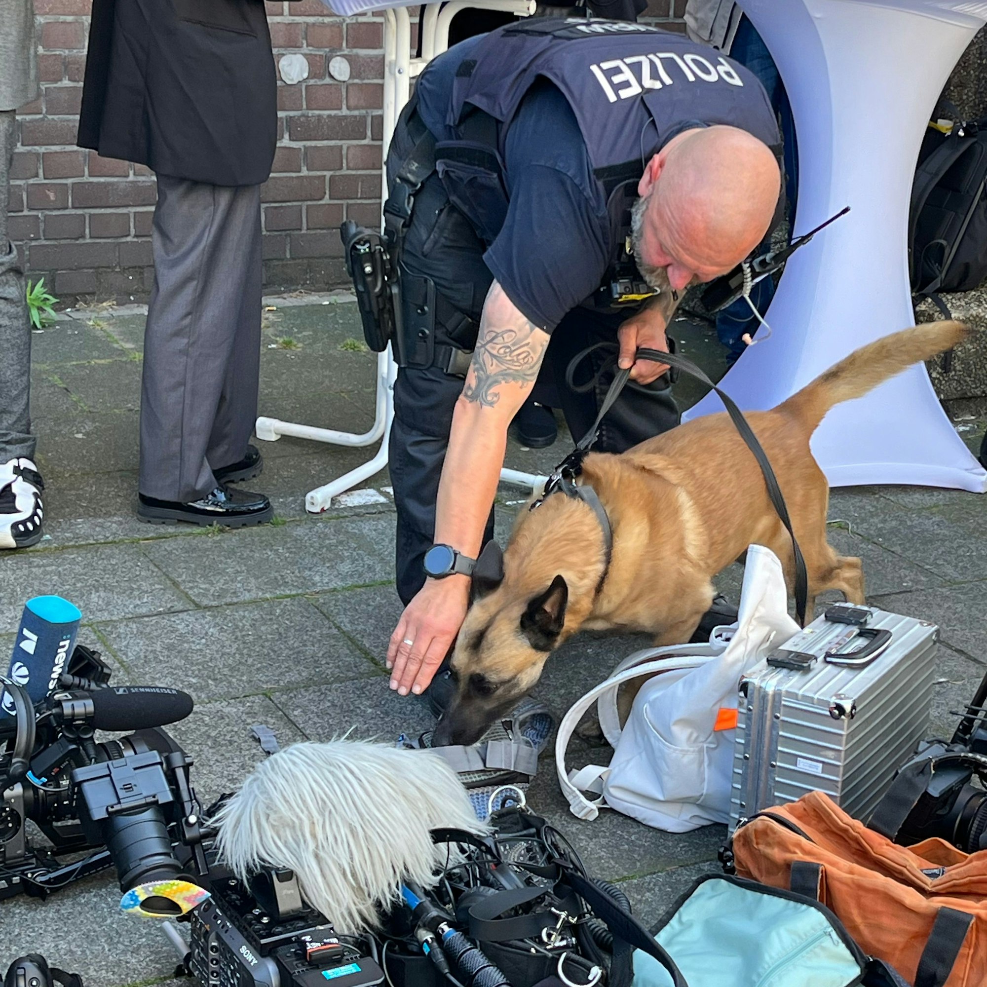 Spürhunde der Polizei sind aktuell auf dem Birlikte-Fest in Köln-Mülheim im Einsatz.