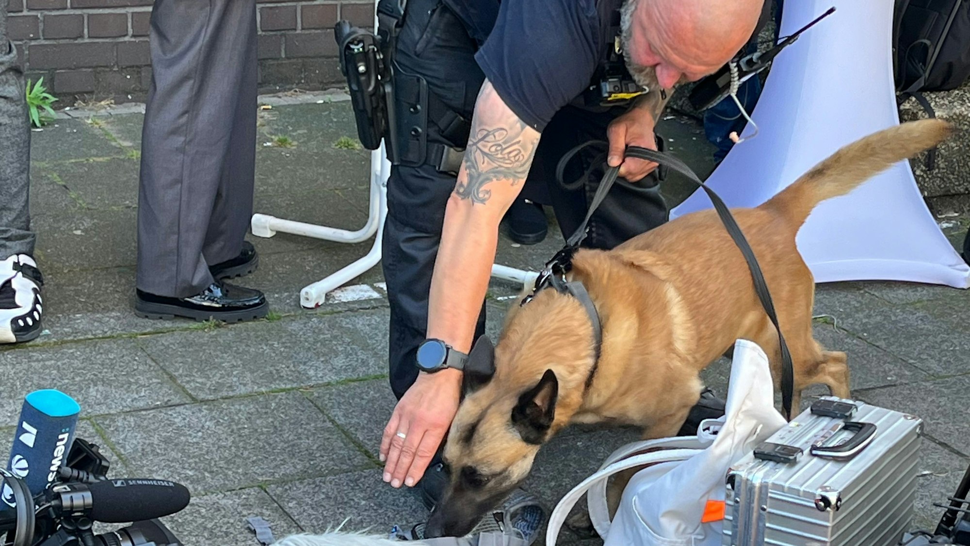 Spürhunde der Polizei sind aktuell auf dem Birlikte-Fest in Köln-Mülheim im Einsatz.