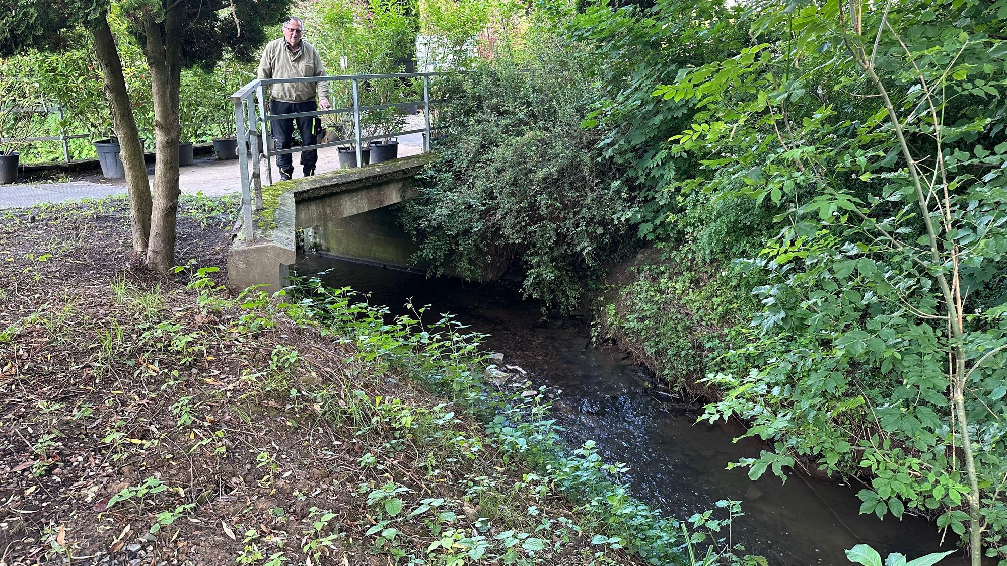 Der Lauterbach soll umgestaltet werden, dass er bei Starkregen nicht mehr zur Gefahr wird. Baumschulinhaber Paul-Michael Radermacher zeigt, wie hoch das Hochwasser 1992 am Lauterbach war, der durch sein Firmengrundstück fließt. 2,70 Meter hoch floss das Wasser über die Brücke.