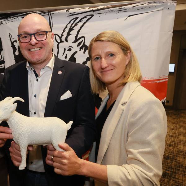 Das Team „FC-Zukunft“ mit Dieter Prestin, Stefan Jung und Sonja Fuss (v.l.)