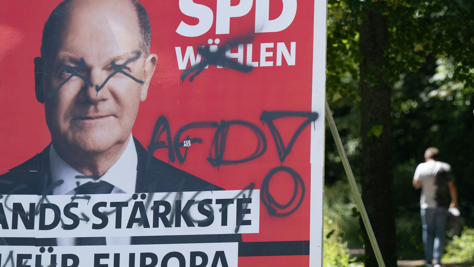 Ein mit dem Schriftzug "AFD!" beschmiertes Wahlplakat der SPD mit einem Foto von Bundeskanzler Scholz, aufgenommen am Tag nach der Europawahl. Die Europawahl begann am 6. Juni und in Deutschland wurde am 9. Juni gewählt. In Sachsen fanden Kommunalwahlen und zeitgleich die Europawahl statt.
