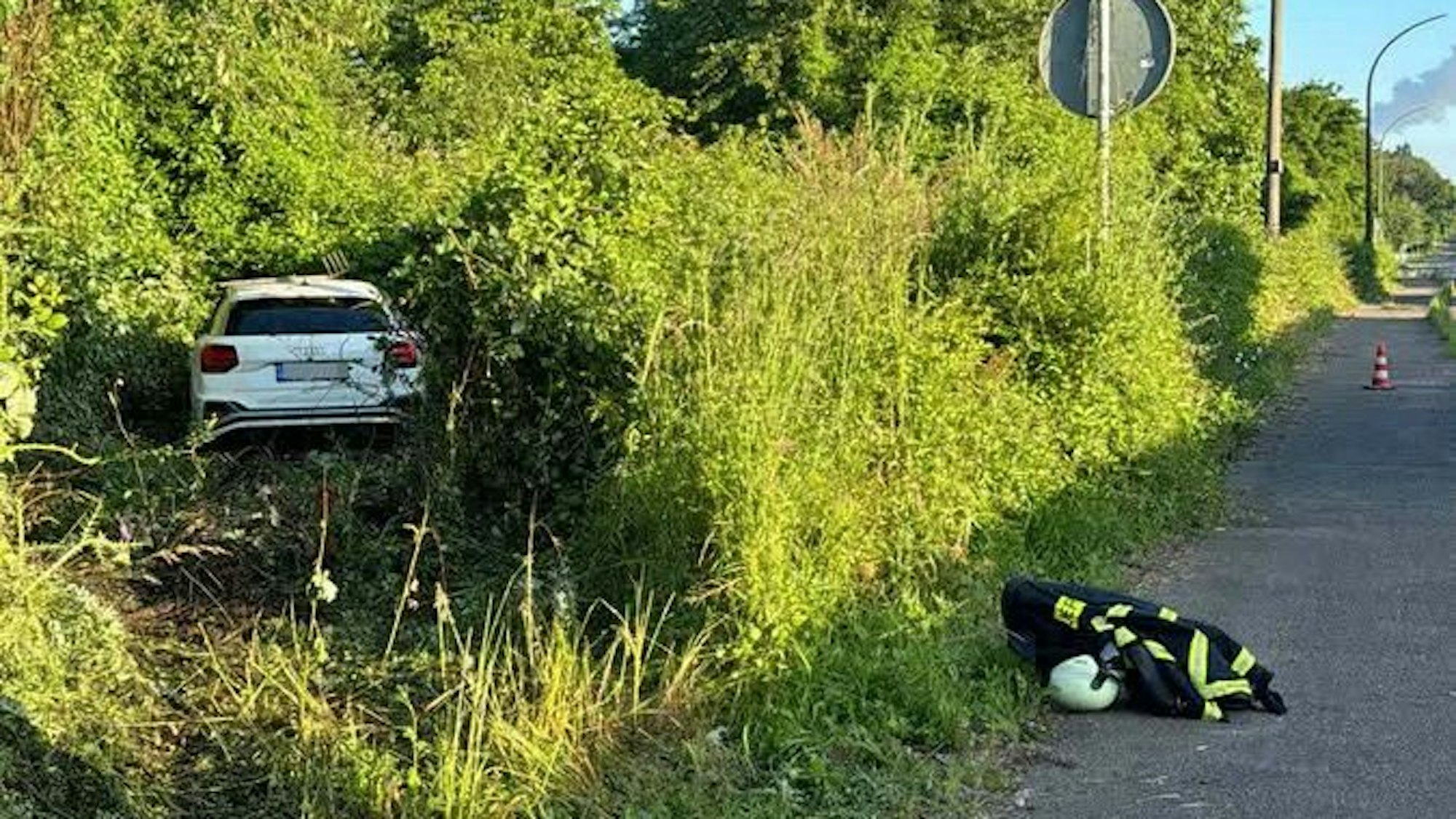 Ein Fahrzeug steht im Gebüsch.