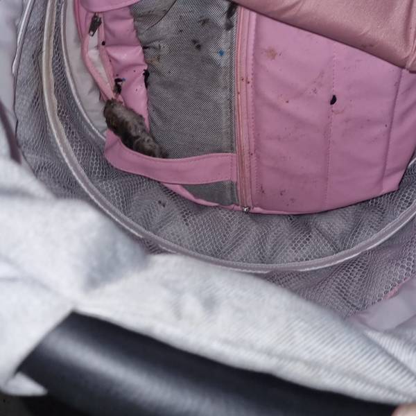 Tote Ratte