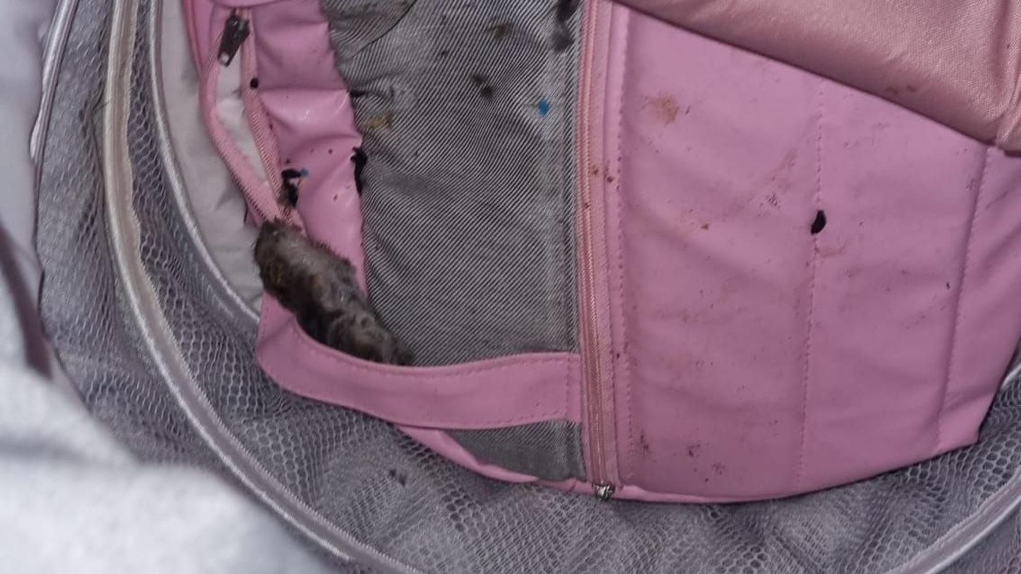 Tote Ratte