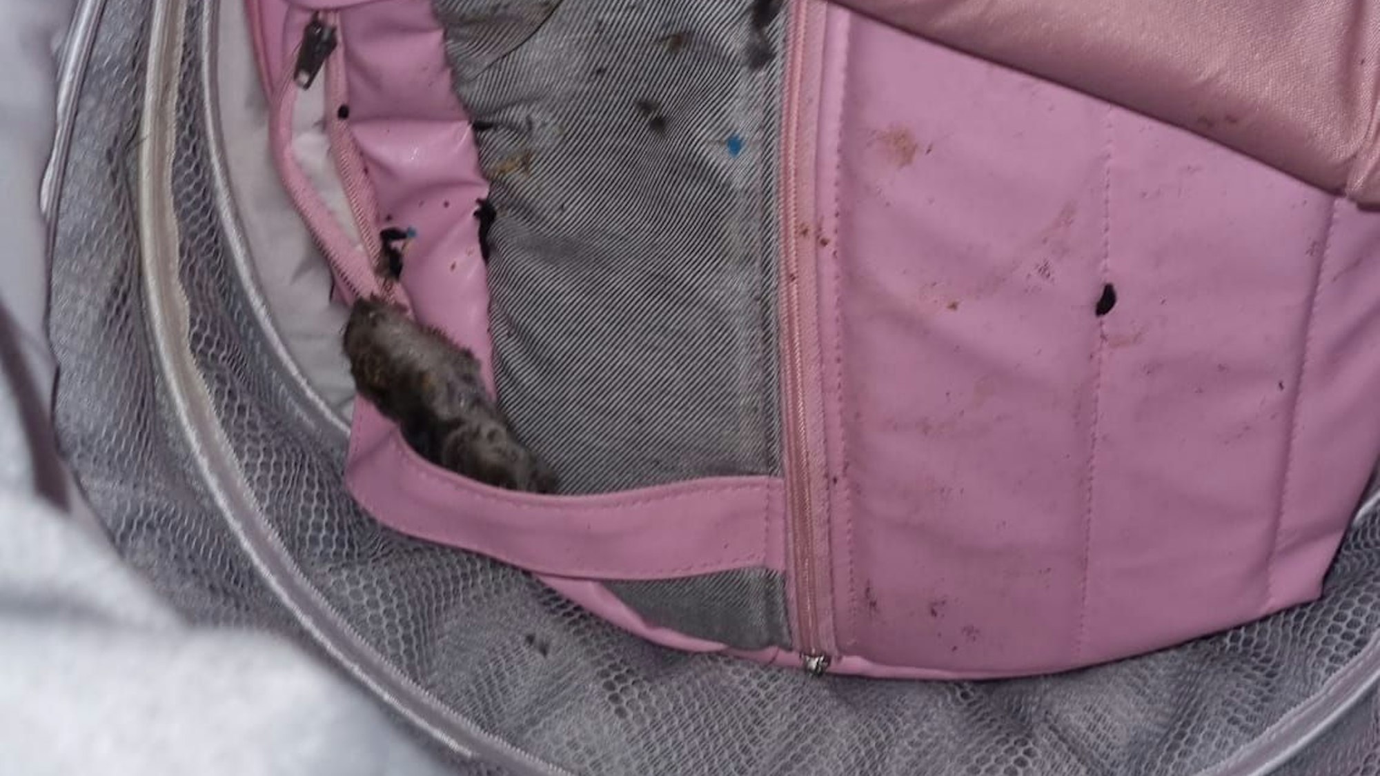Tote Ratte