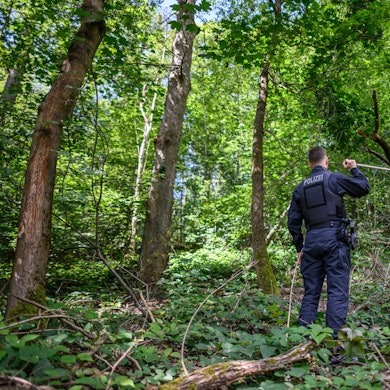 Ein Polizist ist durchsucht ein Waldstück in der Nähe des sächsischen Döbeln nach der vermissten neunjährigen Valeriia. Die Grundschülerin wird seit dem 3. Juni vermisst.