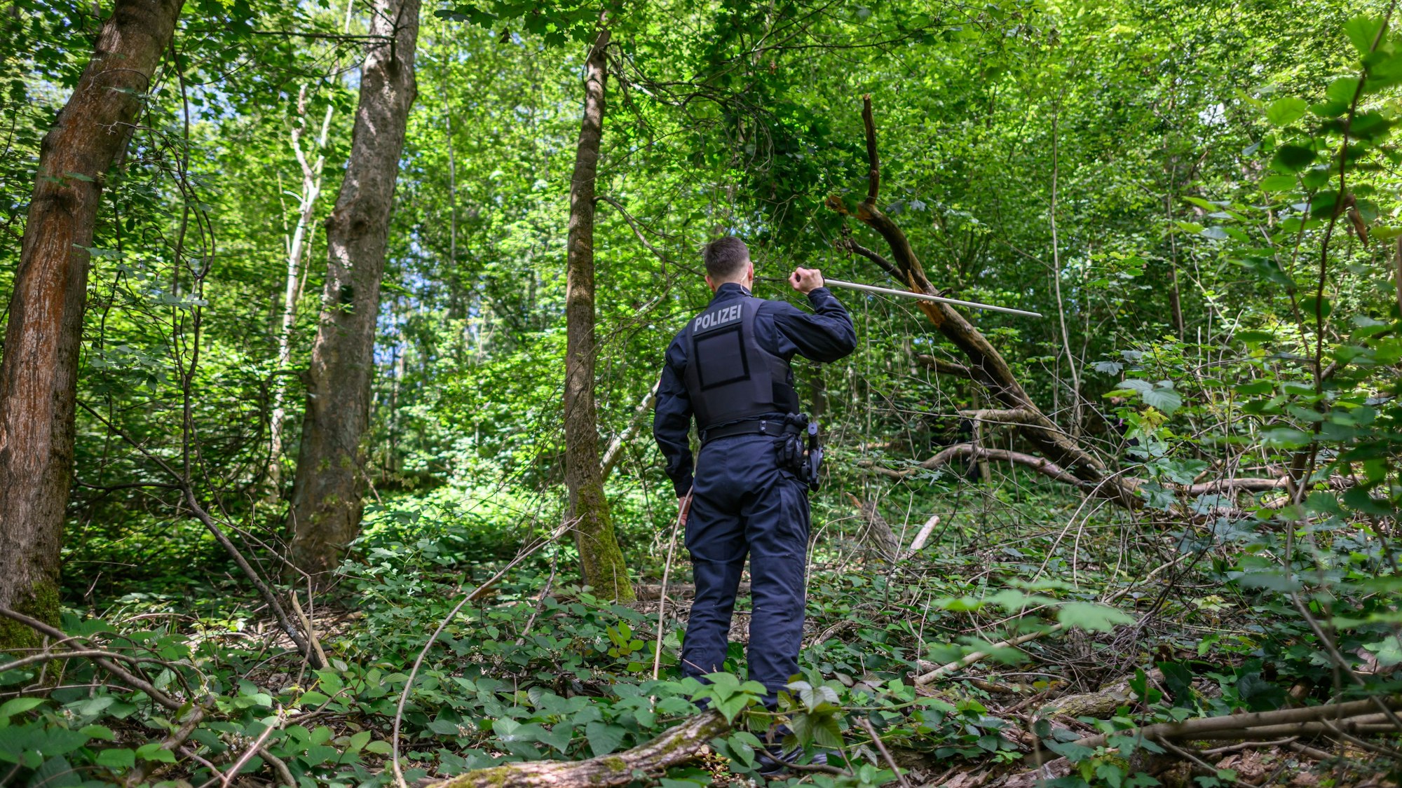 Ein Polizist ist durchsucht ein Waldstück in der Nähe des sächsischen Döbeln nach der vermissten neunjährigen Valeriia. Die Grundschülerin wird seit dem 3. Juni vermisst.