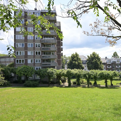 Auf dem Hindenburgplatz stehen Bäume und ein Hochhaus.