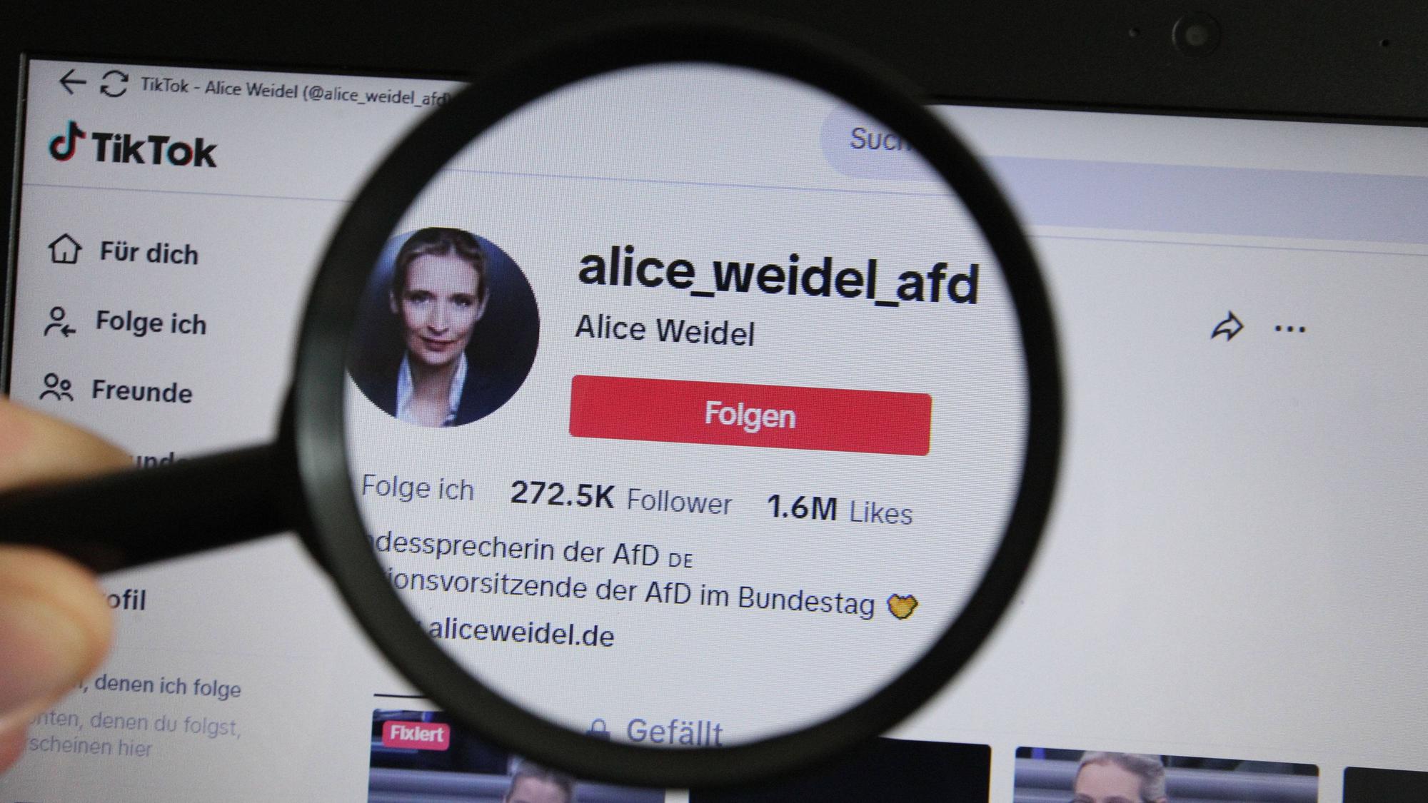 Eine Lupe vergrößert den TikTok-Account von Alice Weidel, der Bundesvorsitzenden der Alternative für Deutschland. (Symbolbild)