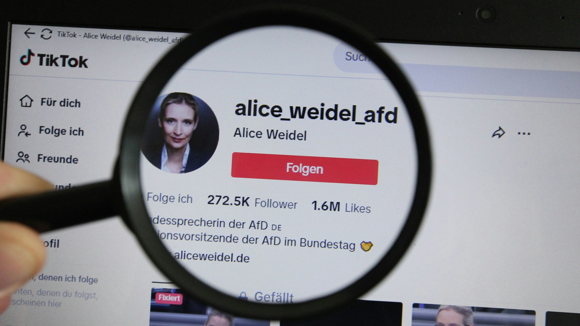 Eine Lupe vergrößert den TikTok-Account von Alice Weidel, der Bundesvorsitzenden der Alternative für Deutschland. (Symbolbild)
