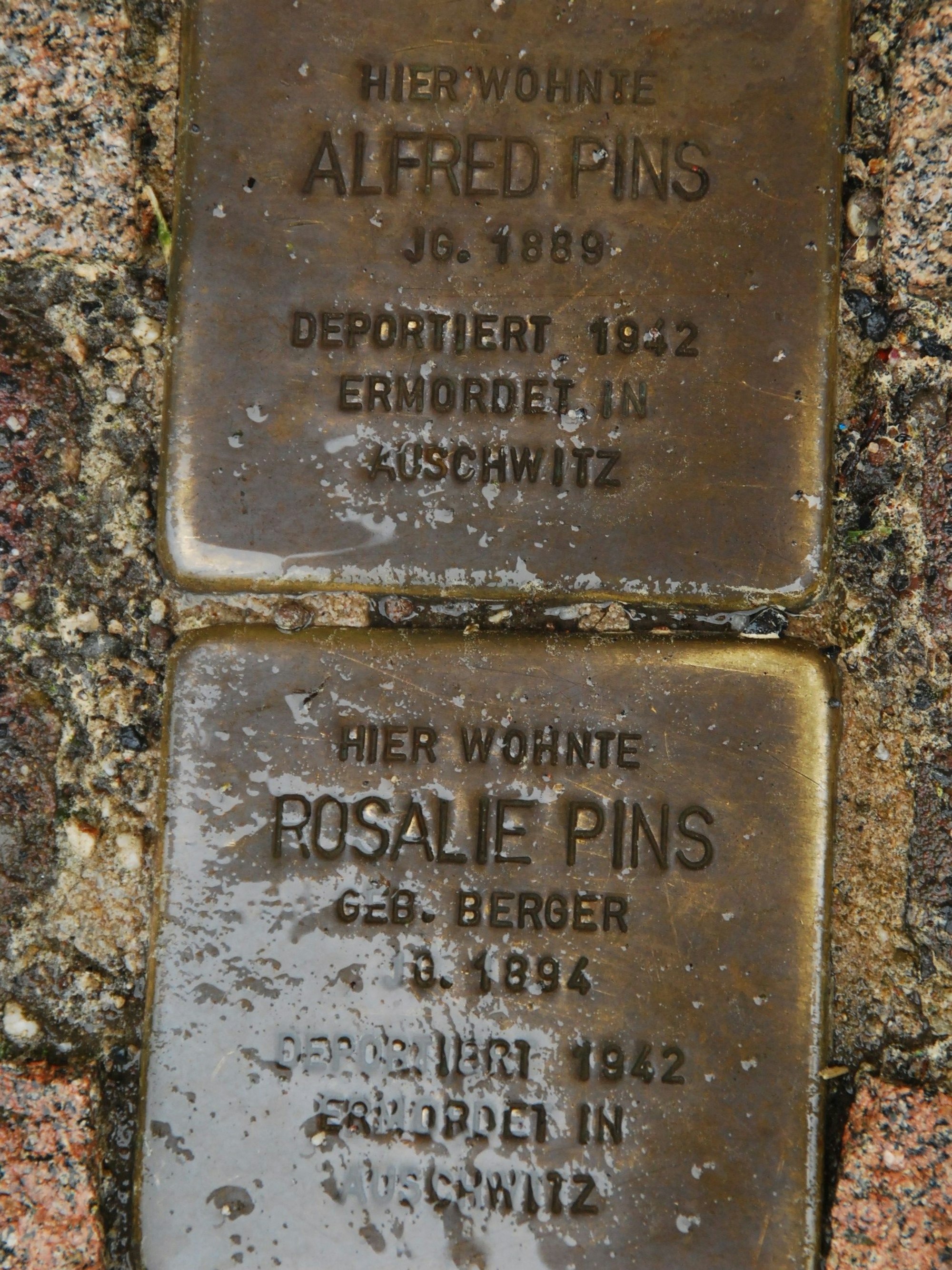 Zwei Stolpersteine für Alfred und Rosalie Pins.