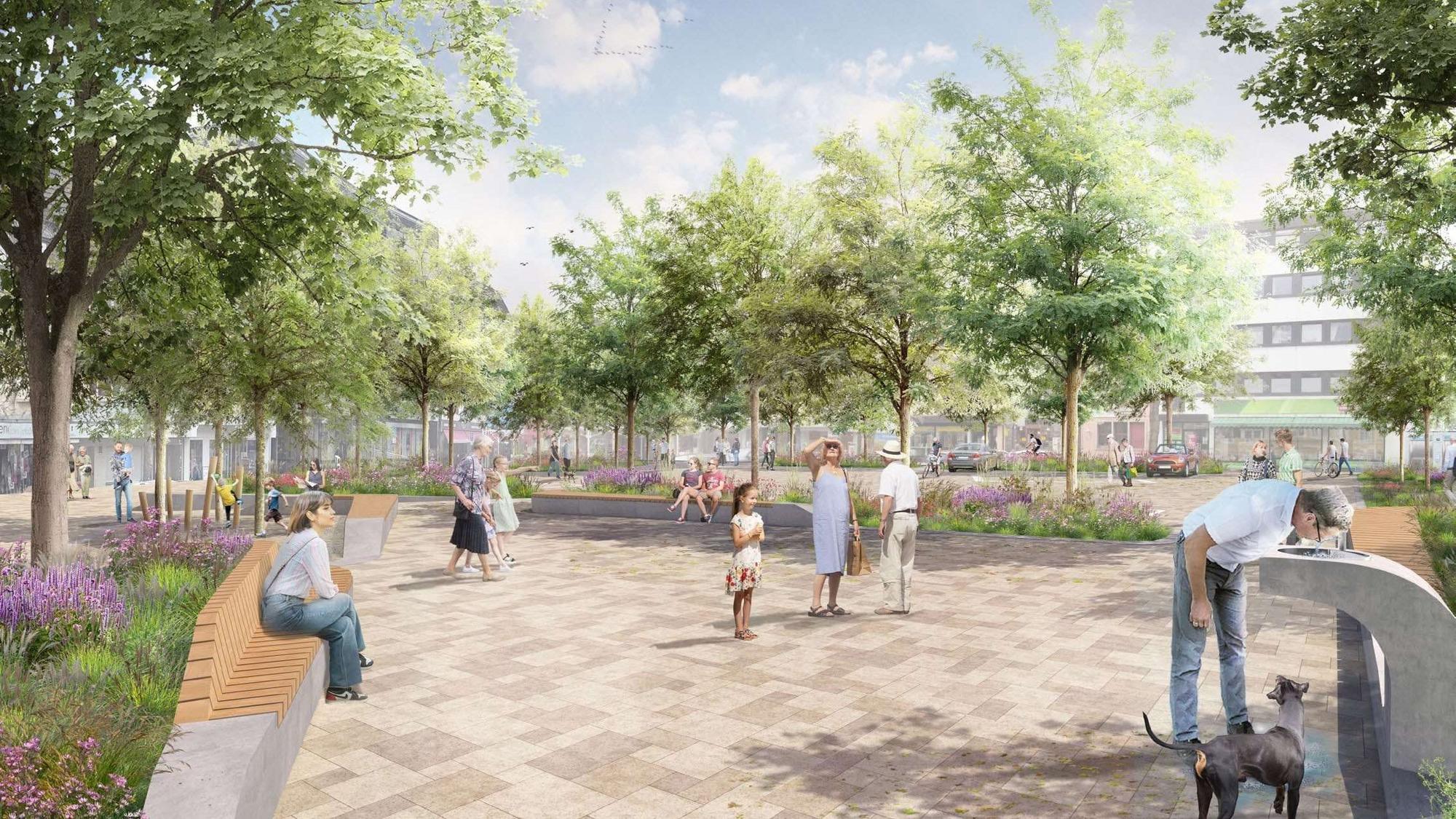 Eine Visualisierung des Marktplatzplanes mit Bäumen, Staudenbeeten und einem Trinkbrunnen
