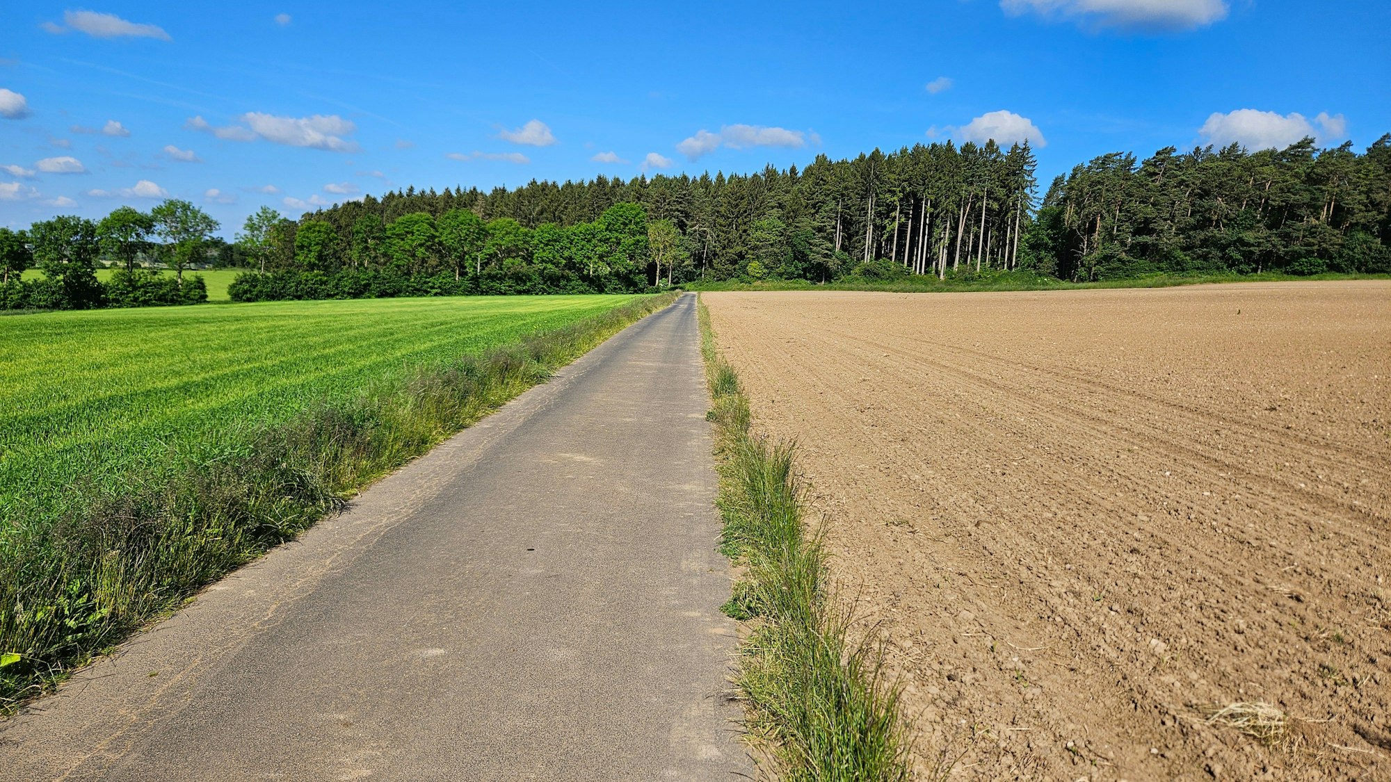 Blick auf ein umgepflügtes Feld mit einem schmalen Streifen mit Pflanzen an der Seite.