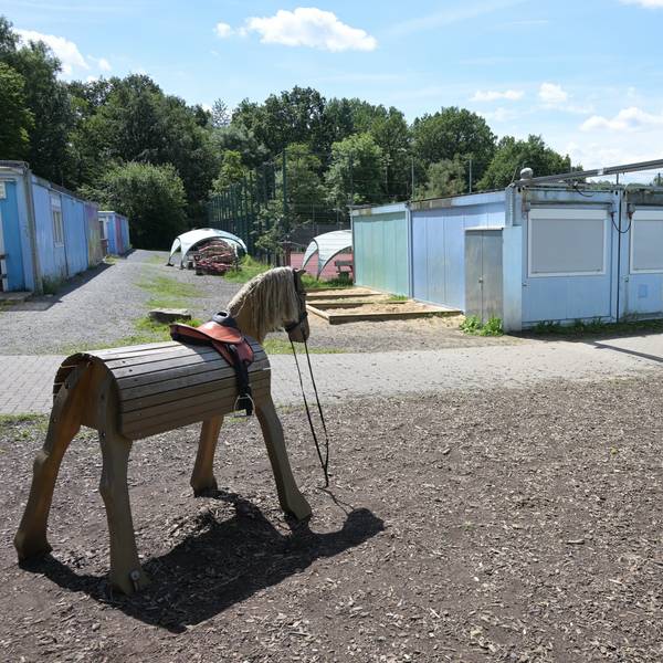 Rechts und links stehen Containerbauten, im Vordergrund zwei hölzerne Spielpferde.