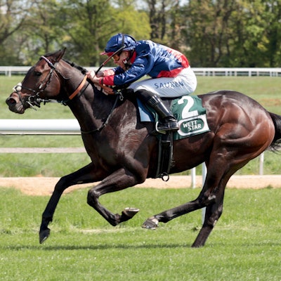 Thore Hammer-Hansen in Aktion mit dem Pferd Penalty