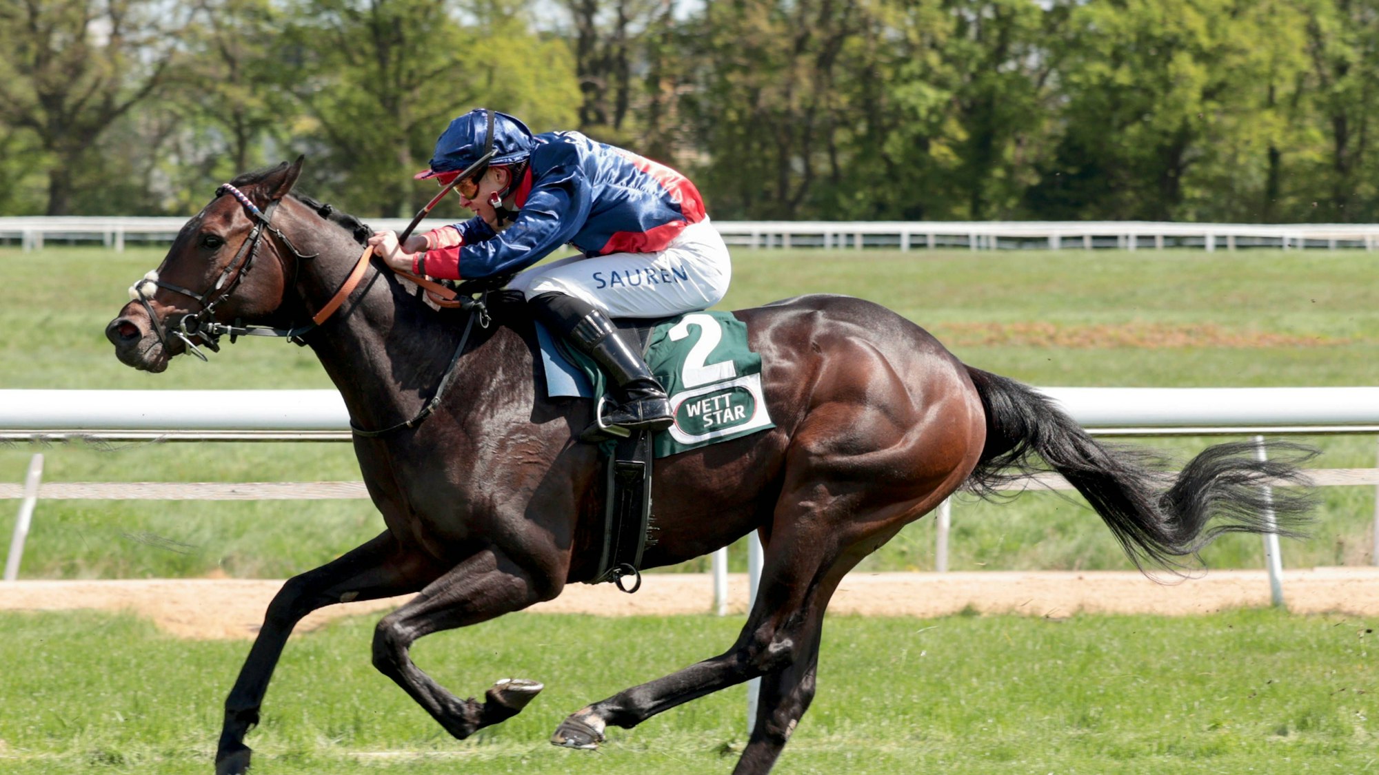 Thore Hammer-Hansen in Aktion mit dem Pferd Penalty