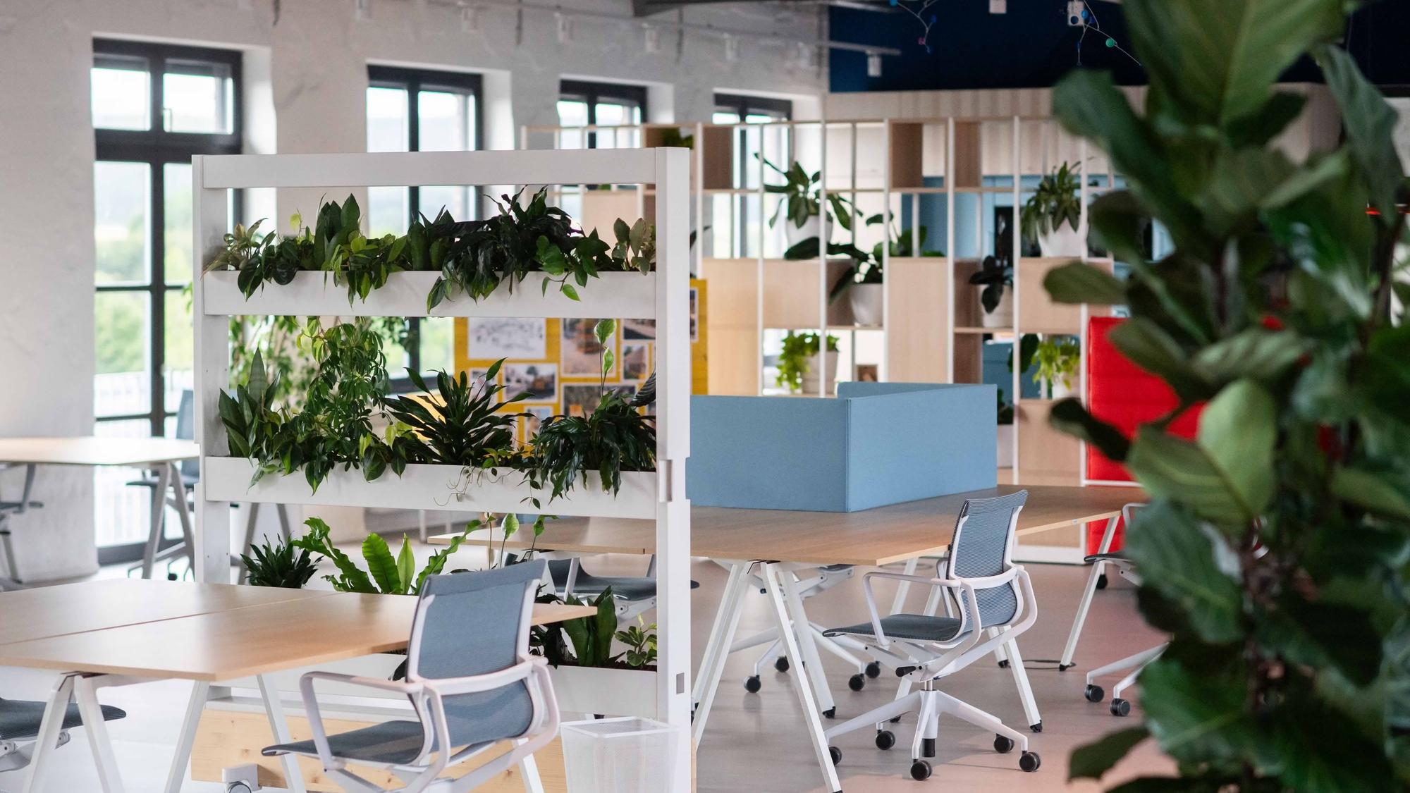 Das Bild zeigt ein innovatives und helles Büro.