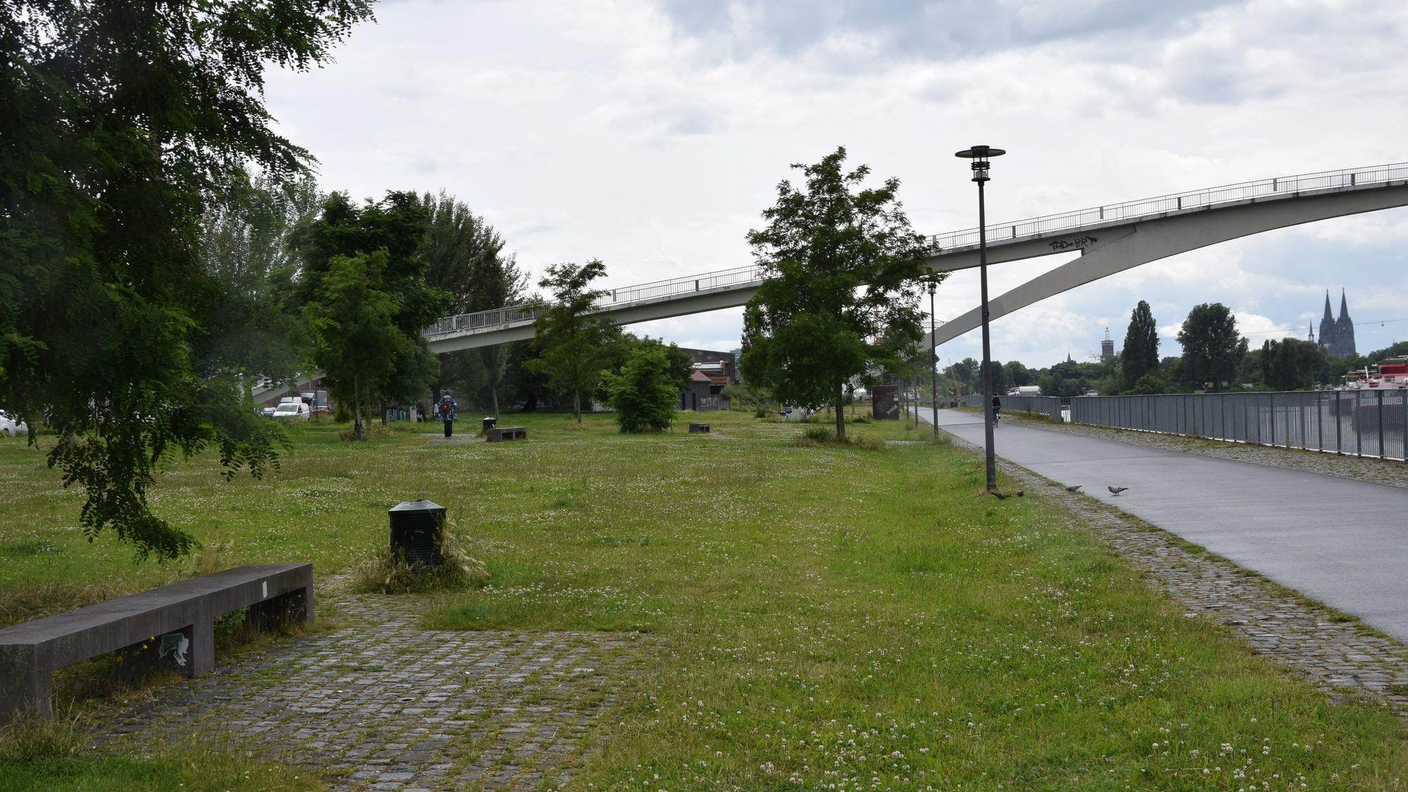 Die Katzenbuckelbrücke verbindet das Mülheimer Ufer mit der nordöstlichen Spitze des Jugendparks auf der ‚Katzenkopf‘ genannten Mülheimer Rheinhalbinsel.