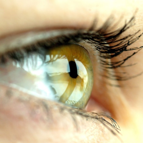 Hoch komplexes Sinnesorgan - das Auge kann sich schnell an neue Situationen anpassen, wird aber durch zu viel Bildschirmarbeit oder falsch eingestellte Sehhilfen häufig überreizt.