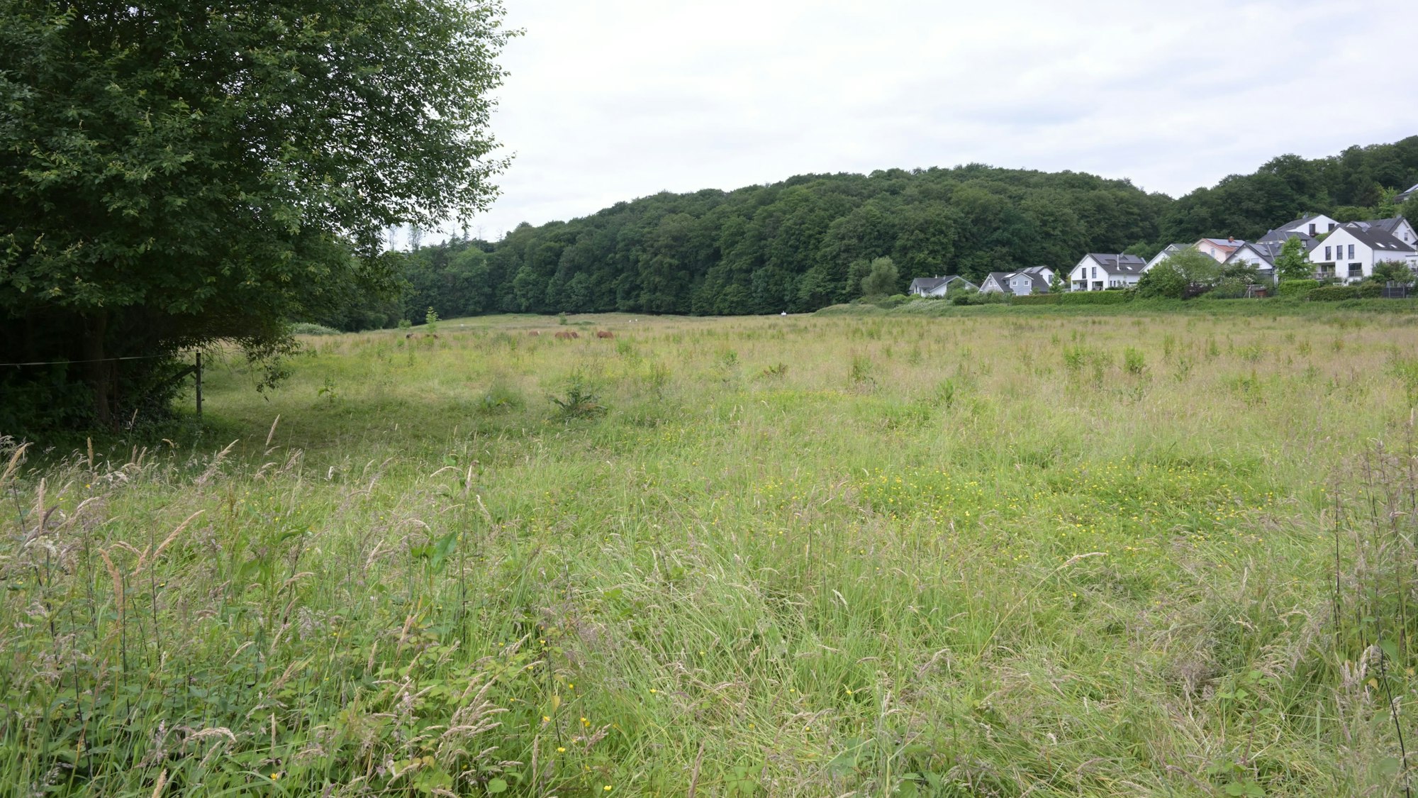In Odenthal soll ein MehrgenerationenQuartier entstehen Kölner Stadt