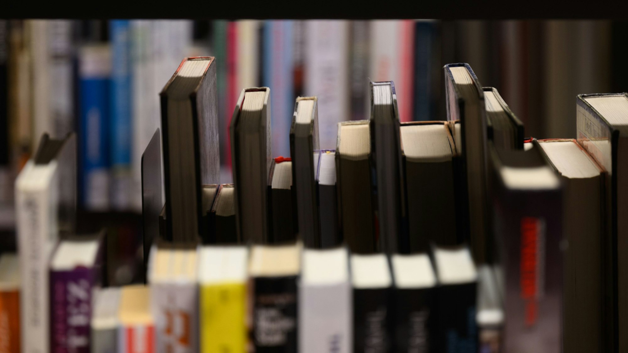 ARCHIV - 27.02.2023, Sachsen, Dresden: Bücher stehen in der Zentralbibliothek der Städtischen Bibliotheken im Kulturpalast in Regalen.