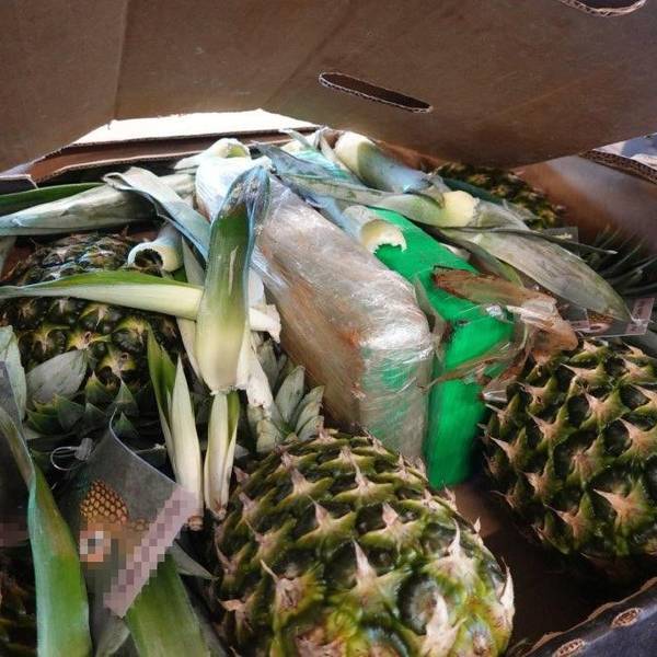 Zwischen Kisten mit Ananas und weiteren Waren versteckten Drogenschmuggler im aktuellen Fall insgesamt 40 Tonnen Kokain