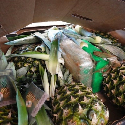 Zwischen Kisten mit Ananas und weiteren Waren versteckten Drogenschmuggler im aktuellen Fall insgesamt 40 Tonnen Kokain