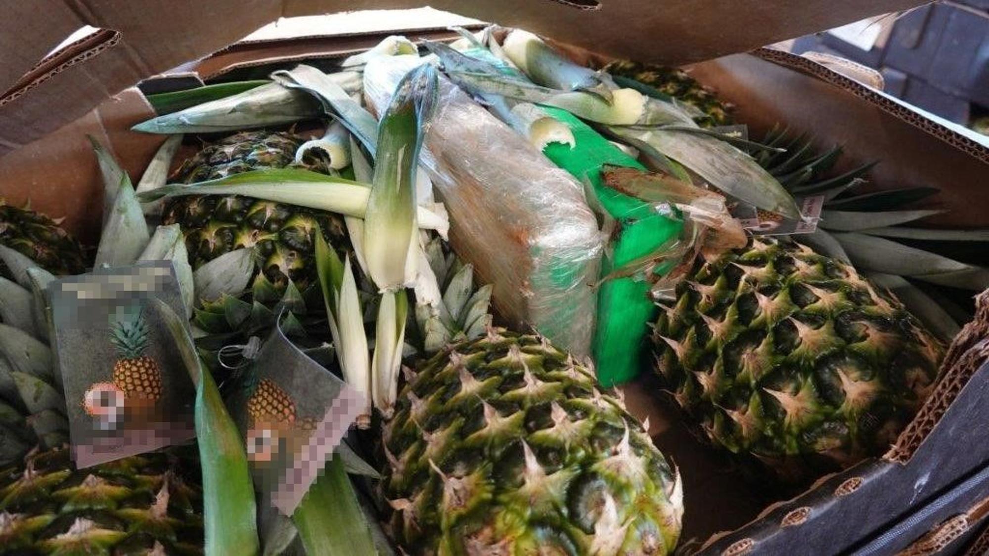 Zu sehen sind Ananas in einer Kiste, zwischen den Früchten stecken Päckchen, in denen Drogen versteckt sind.