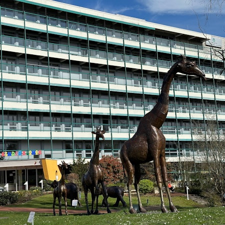 Blick auf die Asklepios Kinderklinik.