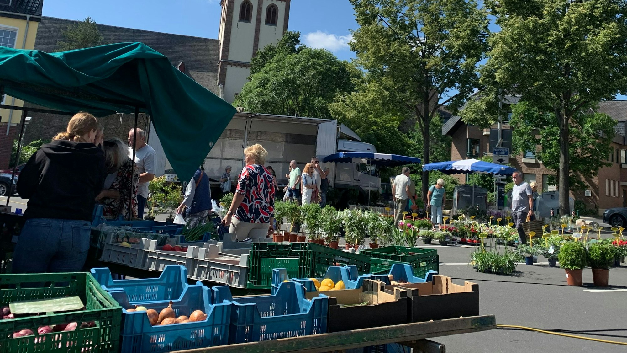 An einem Marktstand mit Gemüse stehen eine Kundin und ein Kunde. Im Hintergrund sind Topfpflanzen zu sehen.