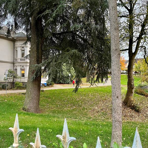 Blick in den Luchtenberg-Richartz-Park in der Burscheider Innenstadt.