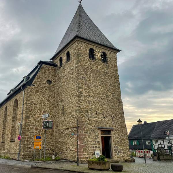 Fünf Dachgauben des „Alten vom Berg“ müssen saniert werden.