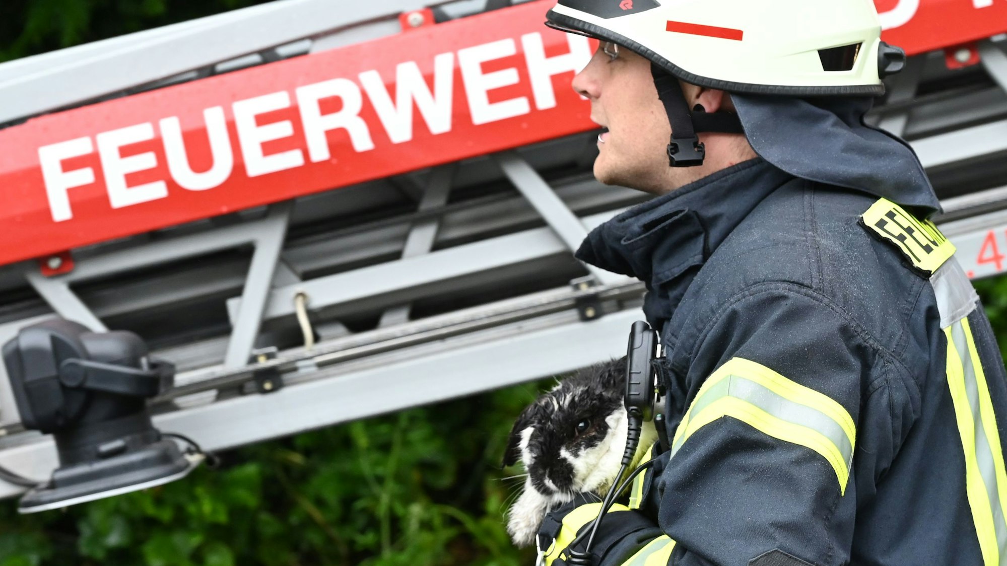 Ein Feuerwehrmann trägt ein Kaninchen auf dem Arm, das aus einer brennenden Wohnung gerettet wurde. Im Hintergrund ist die Aufschrift „Feuerwehr“ auf dem Leiterpark einer Drehleiter zu sehen.