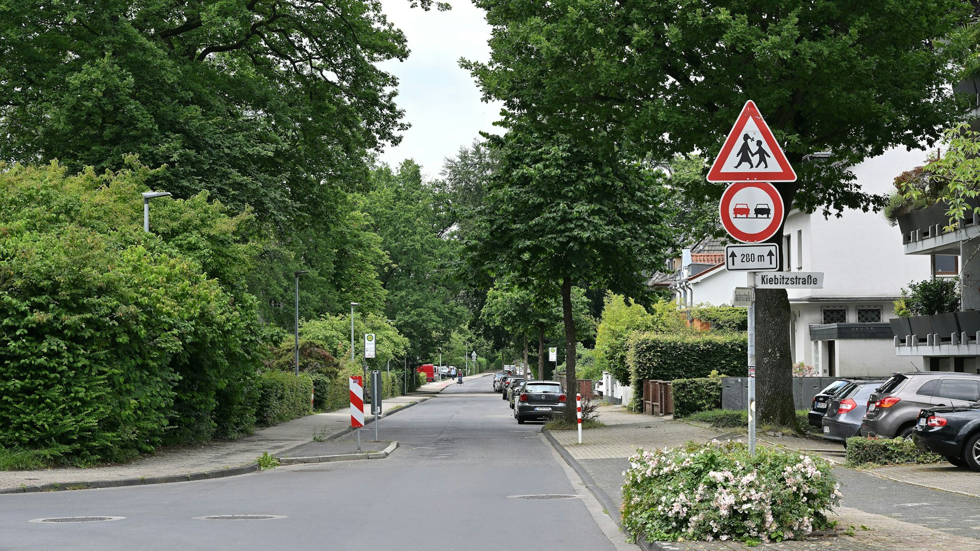 Das Foto zeigt die Taubenstraße im Gladbacher Stadtteil Alt-Frankenforst