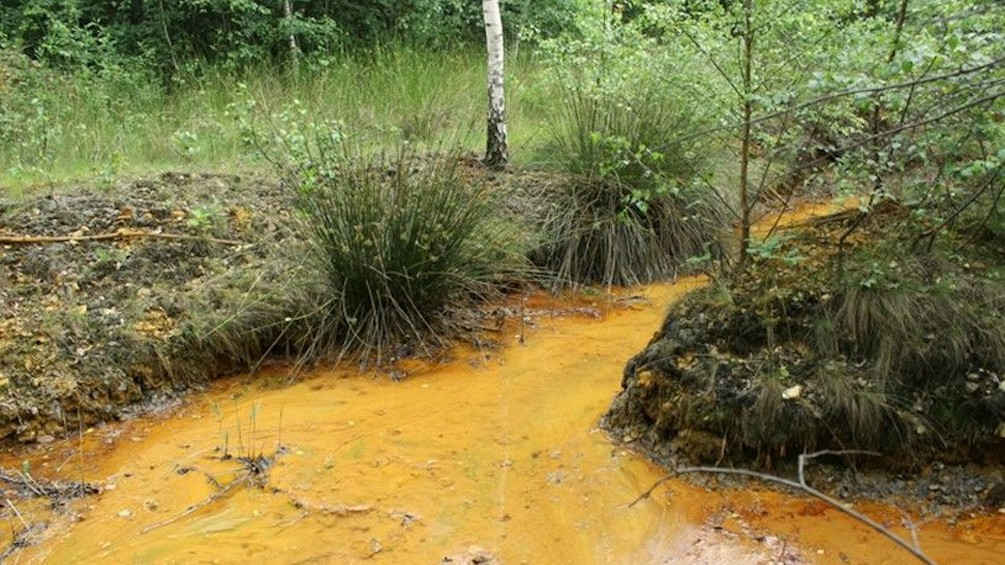 Rötlich-braun gefärbtes Wasser in der Nähe des Gewerbegebietes Kerpen-Türnich.