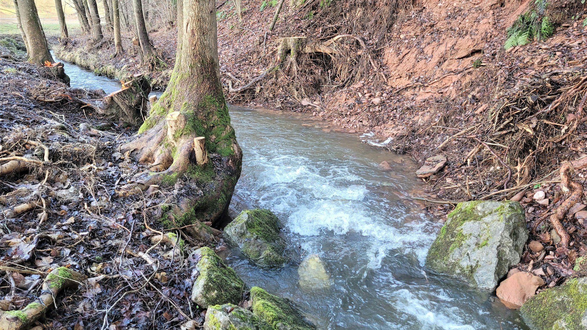 Blick auf den Kallbach, in dem große Steine von der Uferbefestigung liegen.