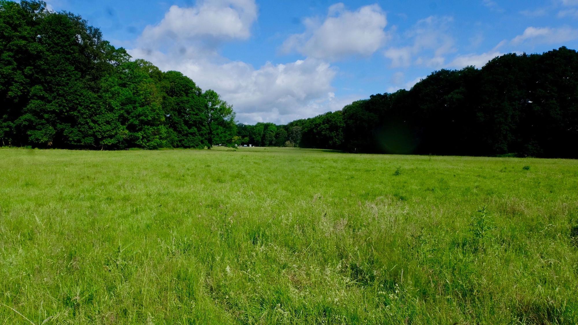 Kölnpfad Etappe 2
Um die Gleueler Wiese streiten sich der 1. FC Köln, Bürgerinitiativen und Naturschutzverbände.